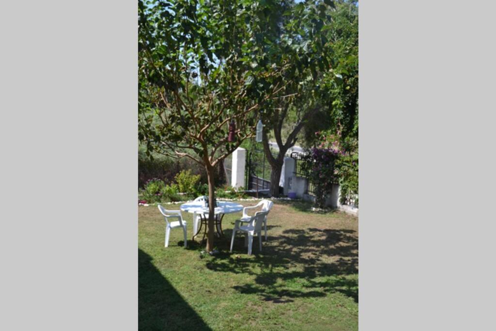 Beach House Into The Green! Preveza Luaran gambar
