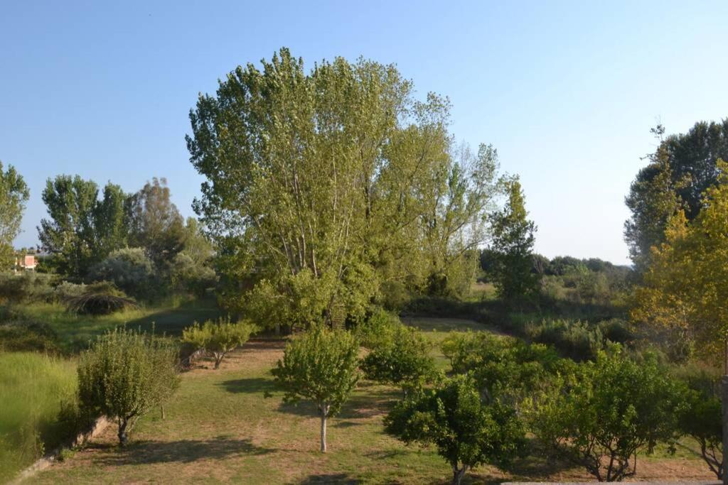 Beach House Into The Green! Preveza Luaran gambar