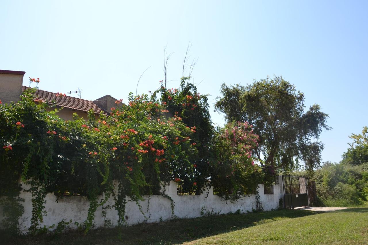 Beach House Into The Green! Preveza Luaran gambar