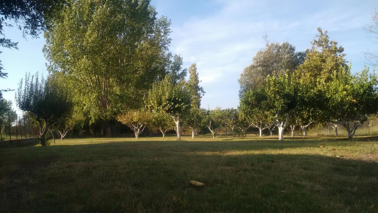 Beach House Into The Green! Preveza Luaran gambar