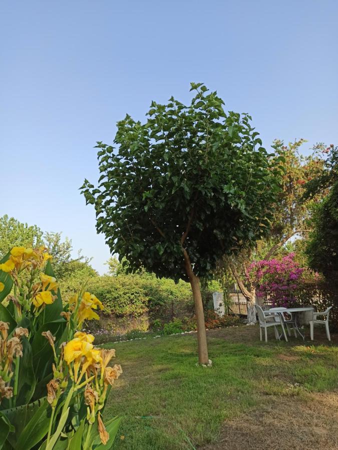 Beach House Into The Green! Preveza Luaran gambar